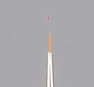 Fine Pointed Brush L